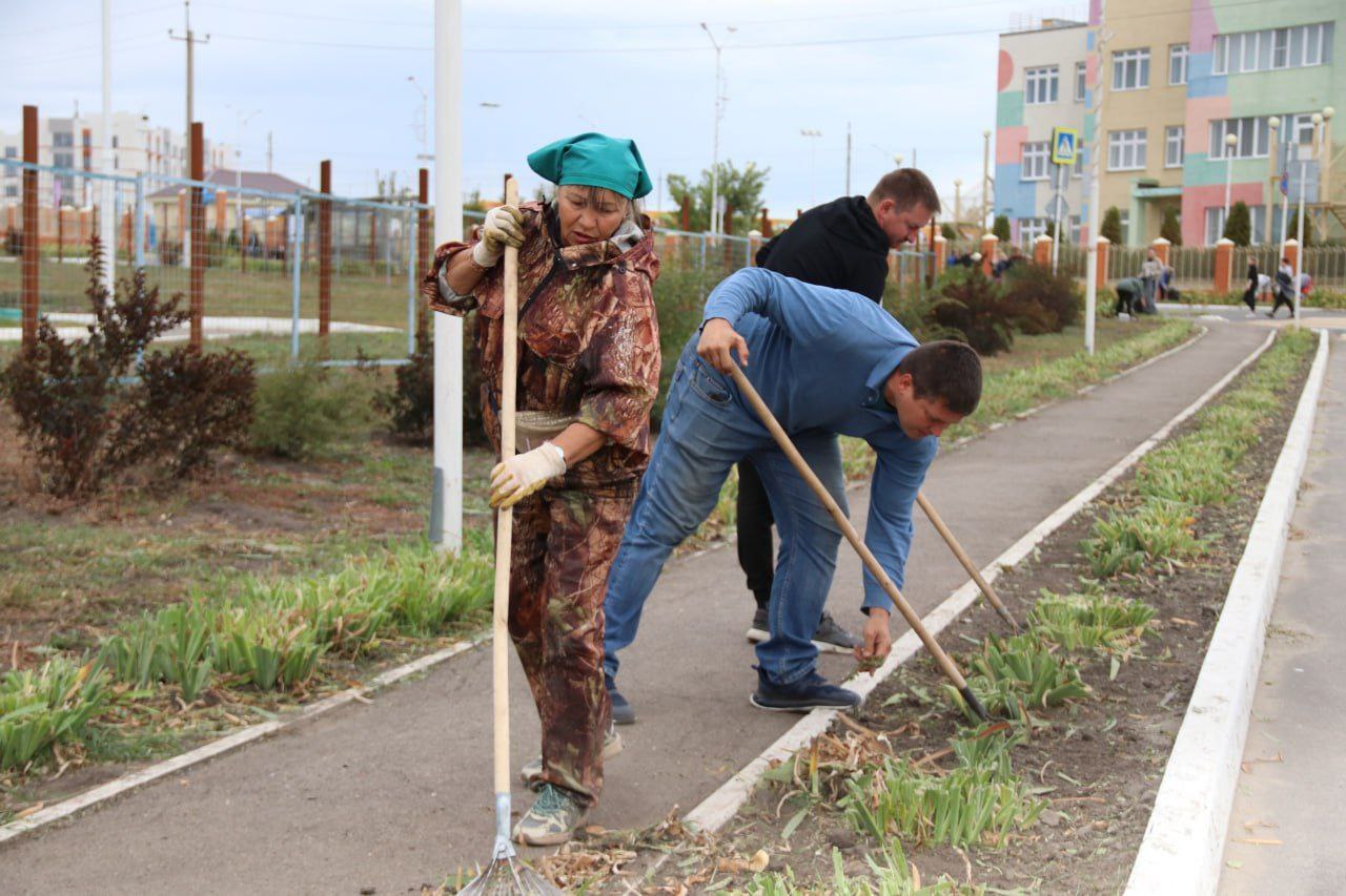 В массовом субботнике приняли участие свыше 30 тысяч саратовцев